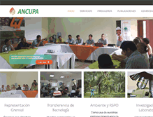Tablet Screenshot of ancupa.com